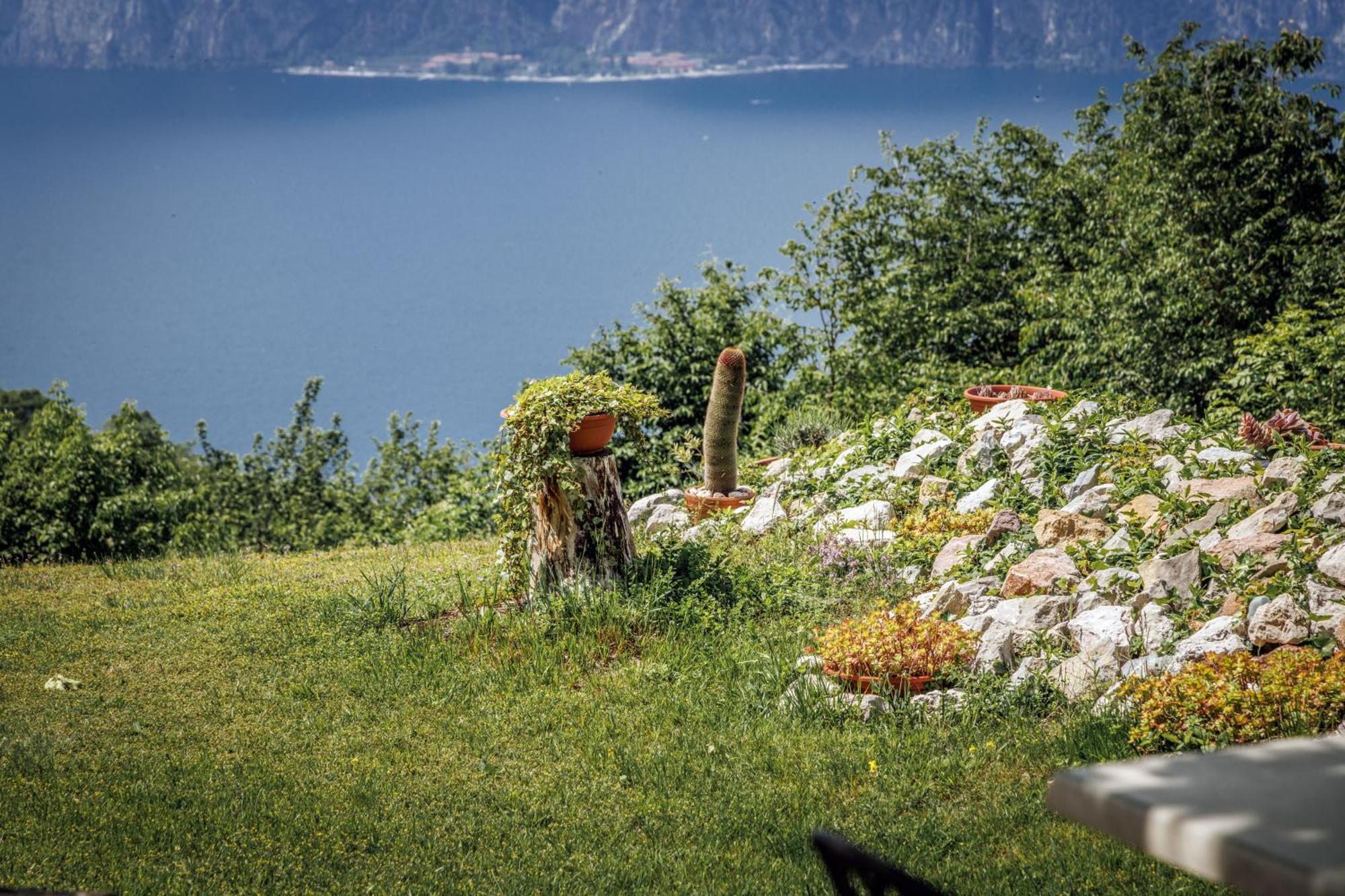 Agriturismo San Maggiore 马尔切西内 外观 照片